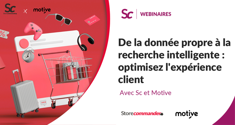De la donnée propre à la recherche intelligente : optimisez l'expérience client avec Sc et Motive
